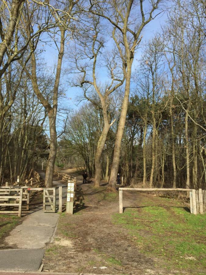 Zee Vakantievilla Begijnhof 5 De Haan Nieuwmunster Esterno foto