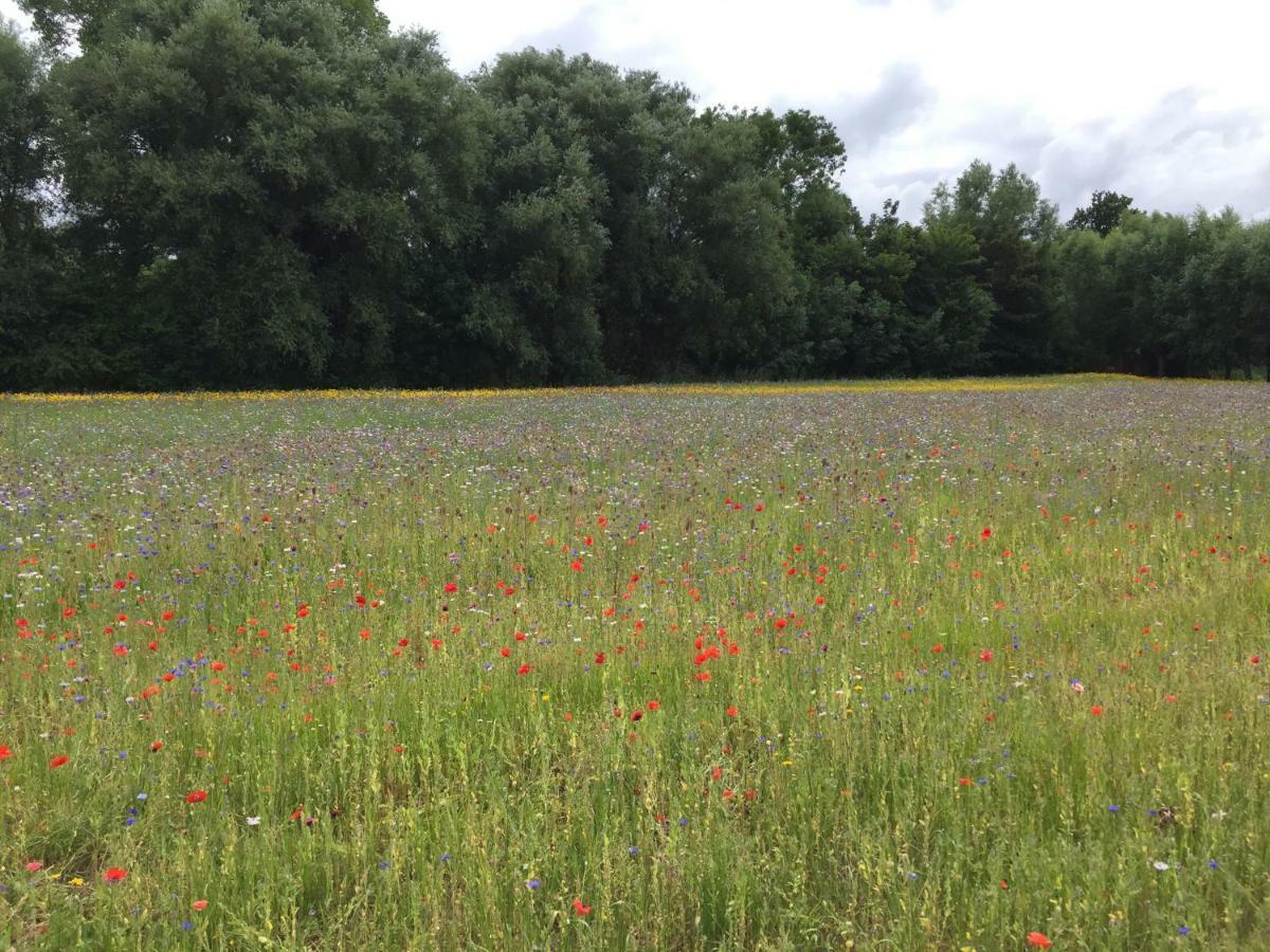Zee Vakantievilla Begijnhof 5 De Haan Nieuwmunster Esterno foto